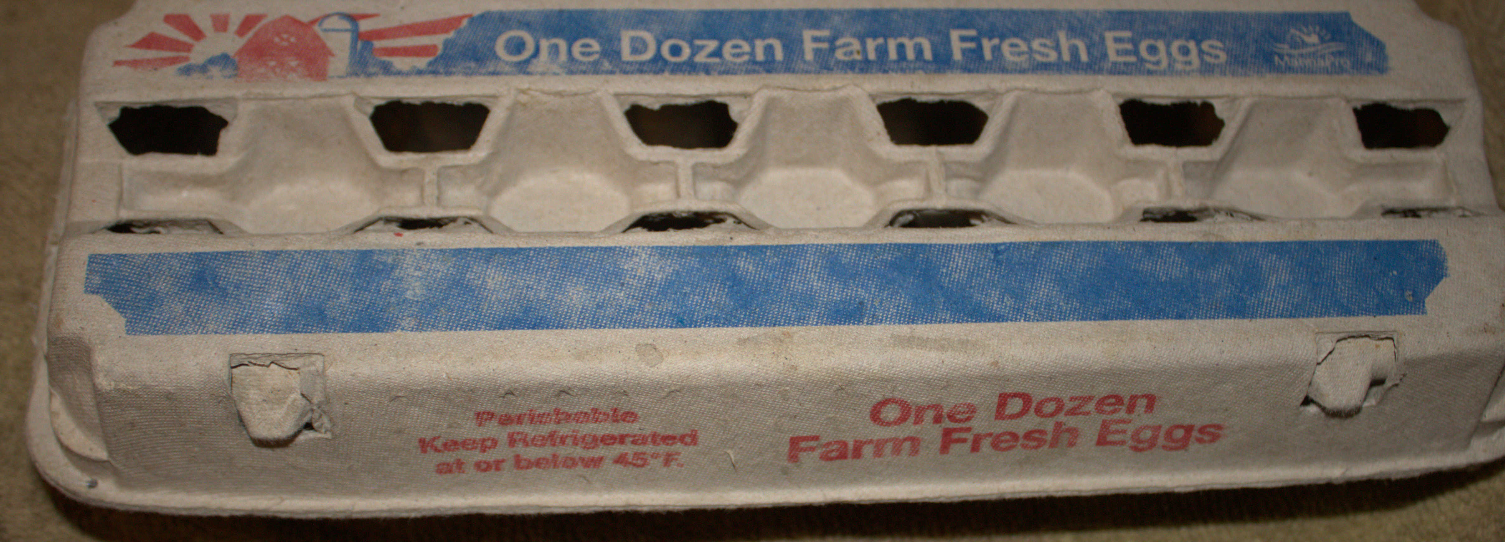 Egg Carton